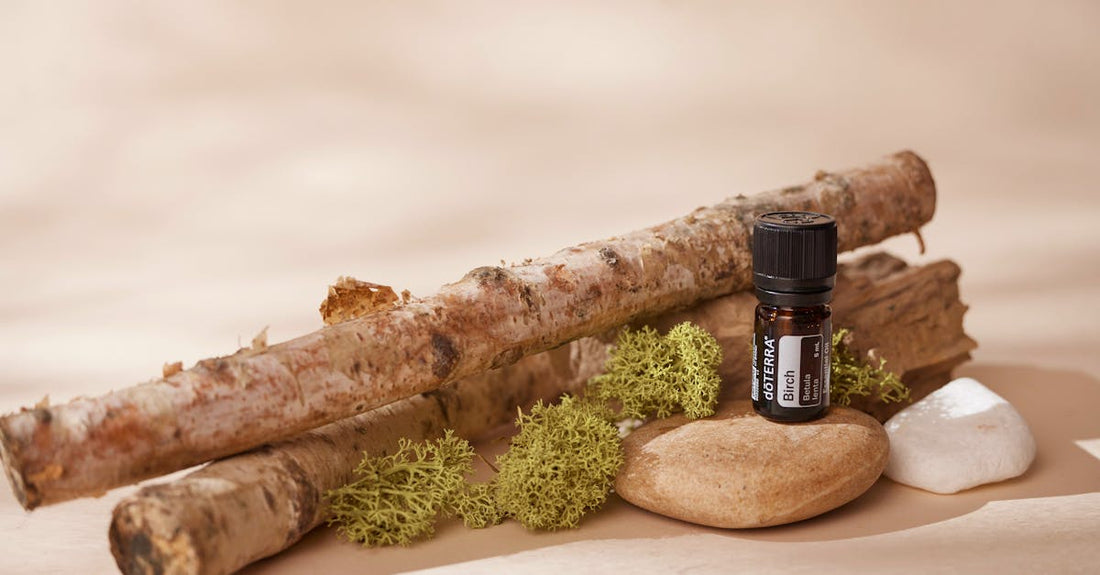 Unlocking the Natural Skincare Benefits of Birch Bark: Nature's Own Remedy