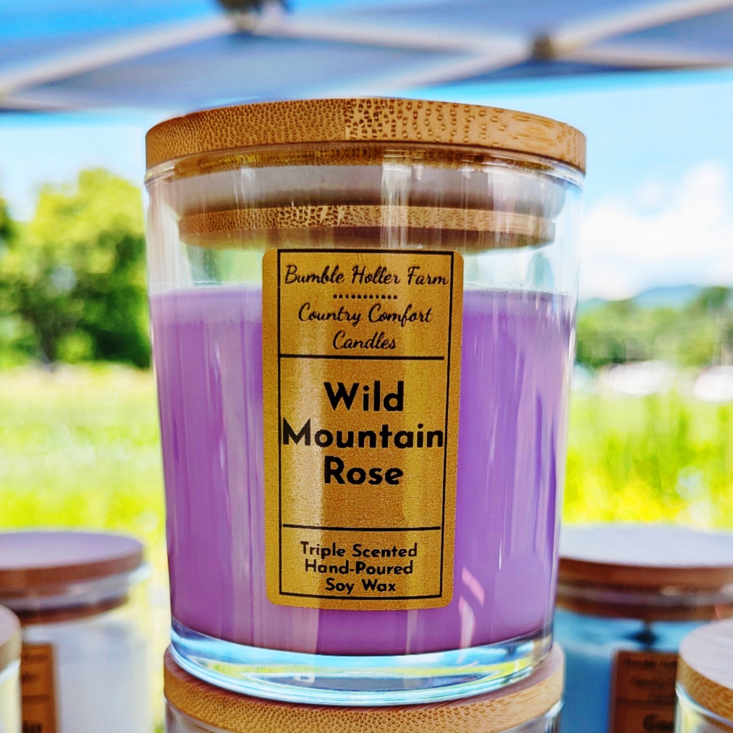 Wild Mountain Rose Handmade  Handmade Soy Candle | Handcrafted Wax Melts